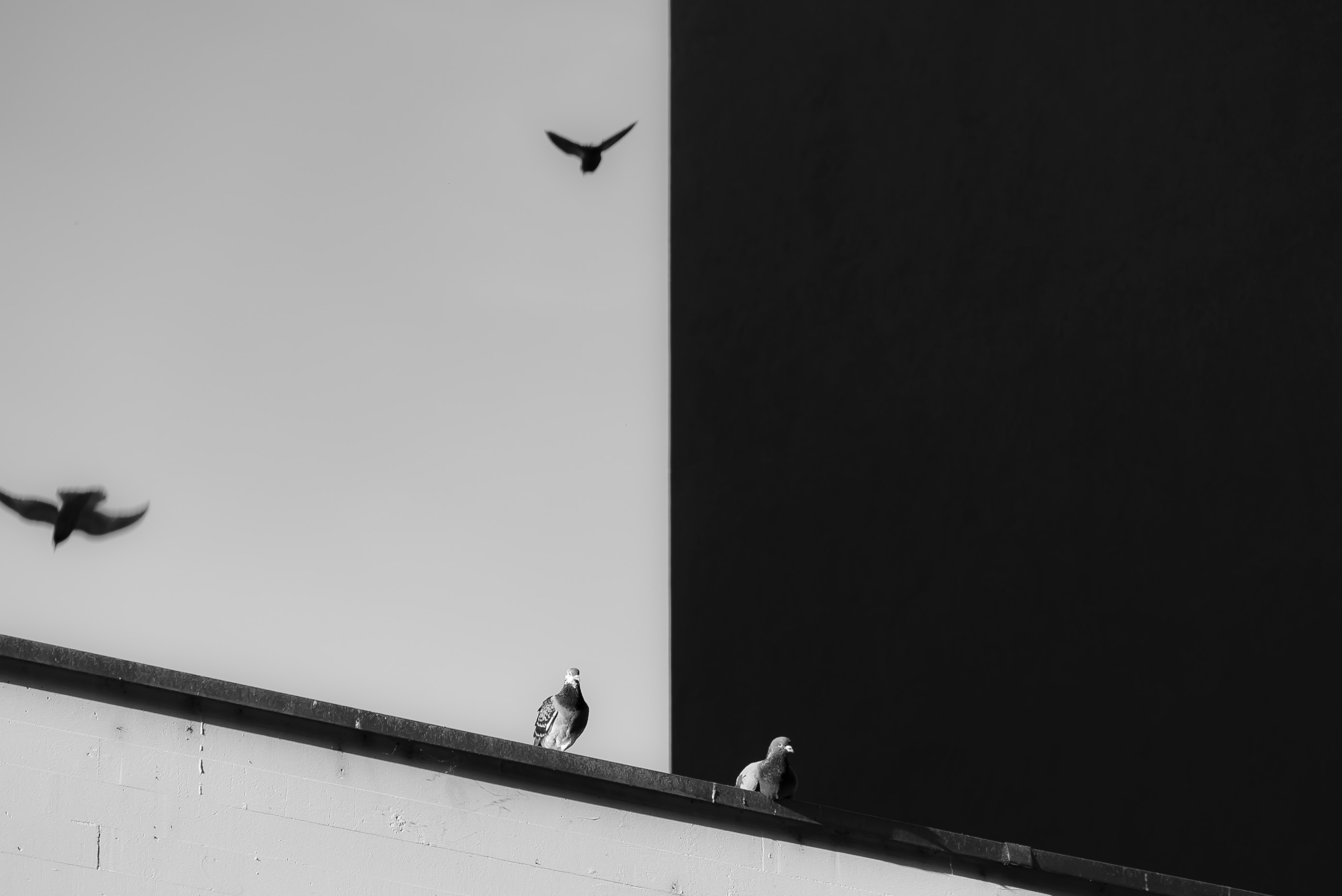 retouching and contrast